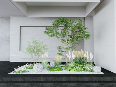 室内植物绿植造景