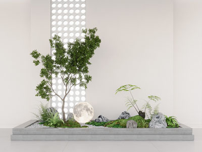 现代室内景观 玄关造景 植物堆