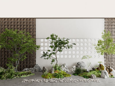 室内造景 植物堆