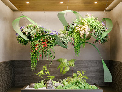 现代室内悬挂植物造景