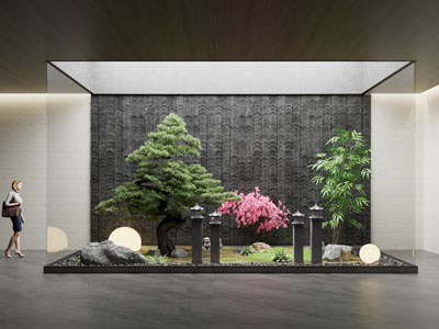 室内造景 植物堆