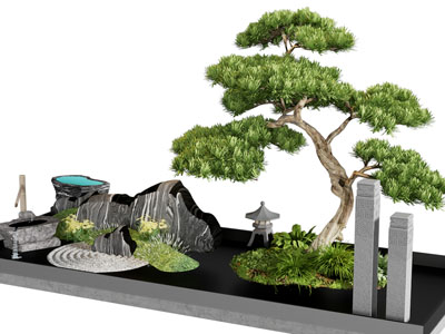 植物堆 室内造景 松树小品