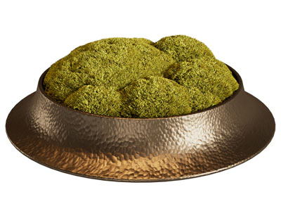 现代苔藓盆景摆件