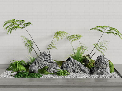 室内造景 植物堆