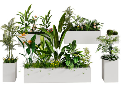 现代花坛 植物盆景盆栽