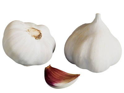 现代大蒜 水果蔬菜