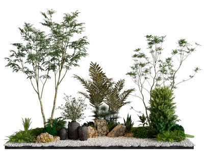 植物景观 景观小品