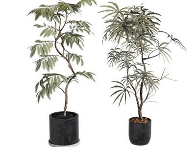 现代绿植盆景盆栽