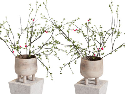 陶罐花瓶 花艺 干枝 插花