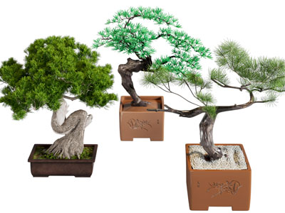 中式绿植盆景盆栽