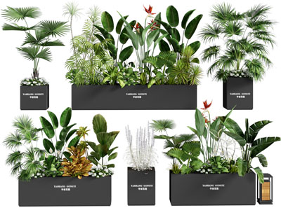 植物堆 植物组合 外摆植物花箱 花草组合