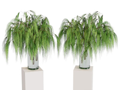 水生植物 绿植 松枝 插花 摆件 树枝