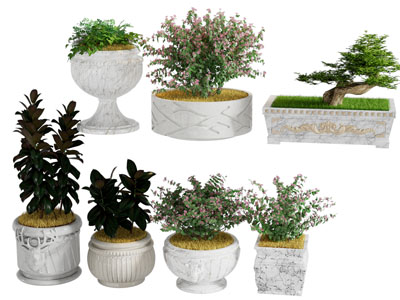 简欧庭院花坛 盆景盆栽植物