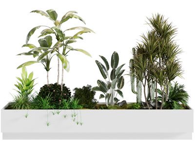现代植物堆 景观绿植