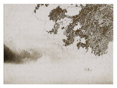 新中式装饰画 植物画 艺术画