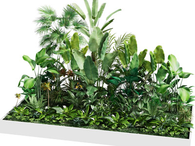 现代盆景盆栽植物堆