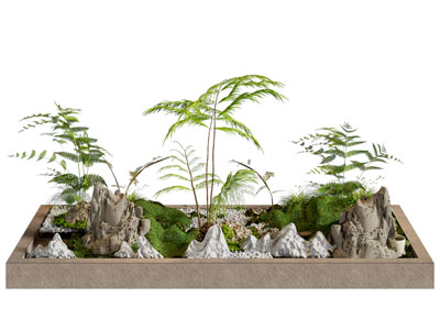 现代花坛 石头 树木植物景观园艺小品