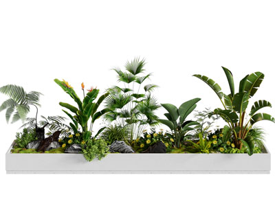 现代花坛花池植物景观园艺小品