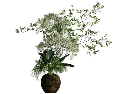 现代花瓶花卉
