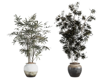 侘寂风中古风绿植盆景盆栽
