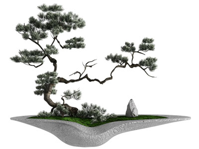 新中式植物造景 罗汉松 盆景盆栽 摆件