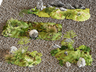 现代苔藓 园艺小品
