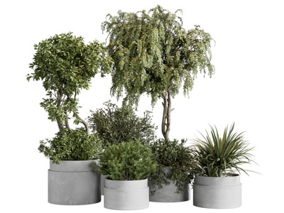 现代绿植盆景盆栽组合