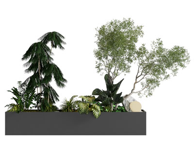 植物堆 景观植物 植物组合 树池