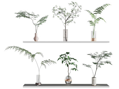 水生植物 绿植 花瓶花卉 玻璃瓶