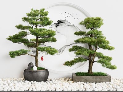 新中式迎客松松树盆景