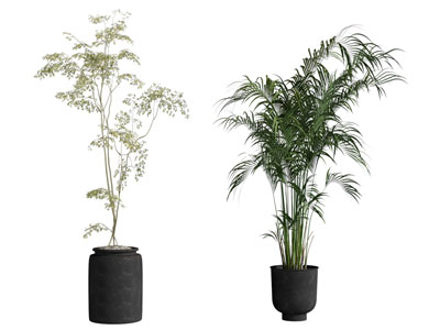 现代盆栽盆景 植物摆件