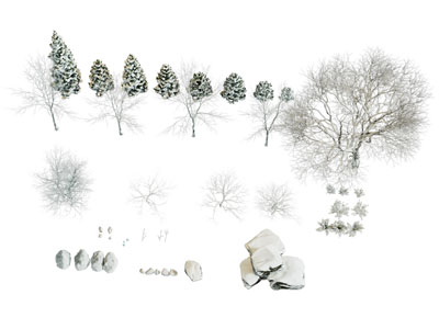 现代雪天的松树 柏树 雪景