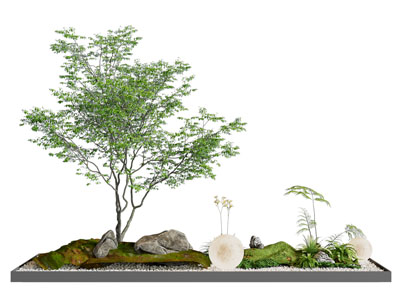 现代花坛 石头 树木 月球灯景观园艺小品