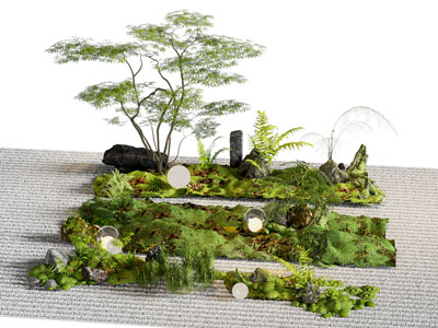 植物堆 庭院小品 苔藓 景观造景 植物组合 微地形