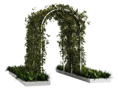现代植物拱门园艺小品