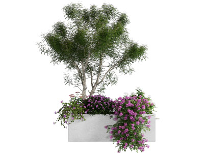 户外花箱 花坛