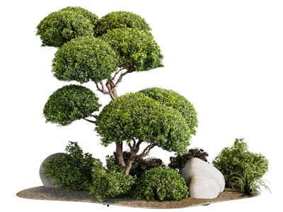 现代树木 石头景观园艺小品