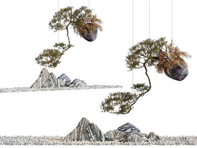松树 假山小品 吊挂植物
