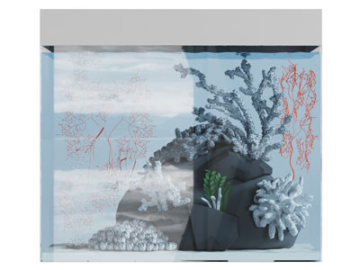 现代鱼缸