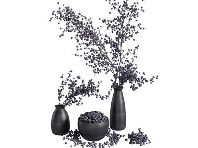 现代水果蓝莓食品