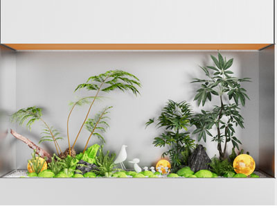 室内景观 植物造景