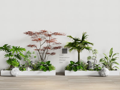 现代植物组合 庭院景观户外花箱