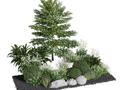 景观植物 园艺小品