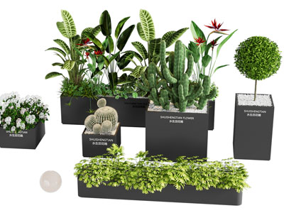 外摆 绿植花箱 绿植盆栽 花池花坛