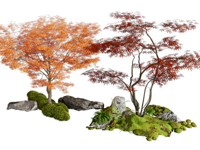 现代枫树 石头 苔藓景观园艺小品