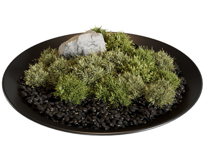苔藓 现代苔藓盆景 桌摆 植物装饰摆件