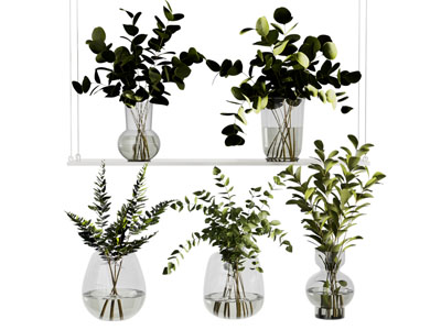 现代水生植物