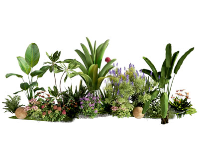现代花草植物景观园艺小品