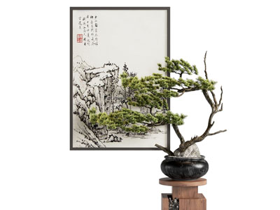 松柏盆栽