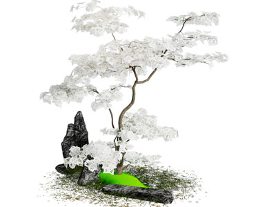 景观树